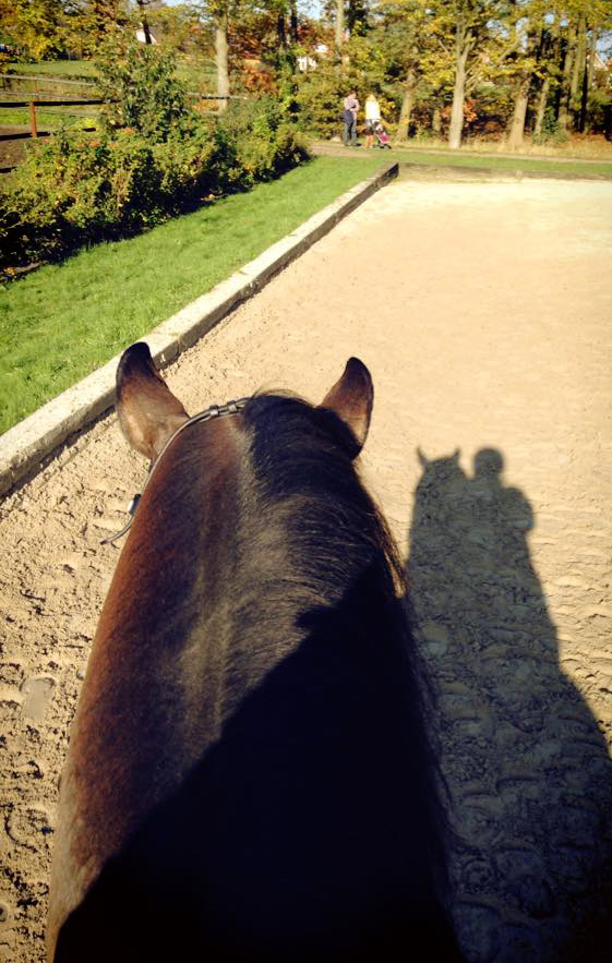 Dressage neck