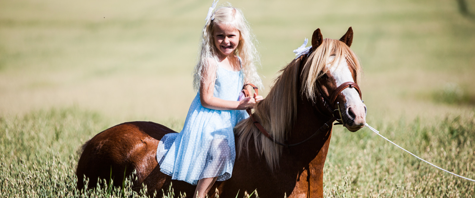 pony